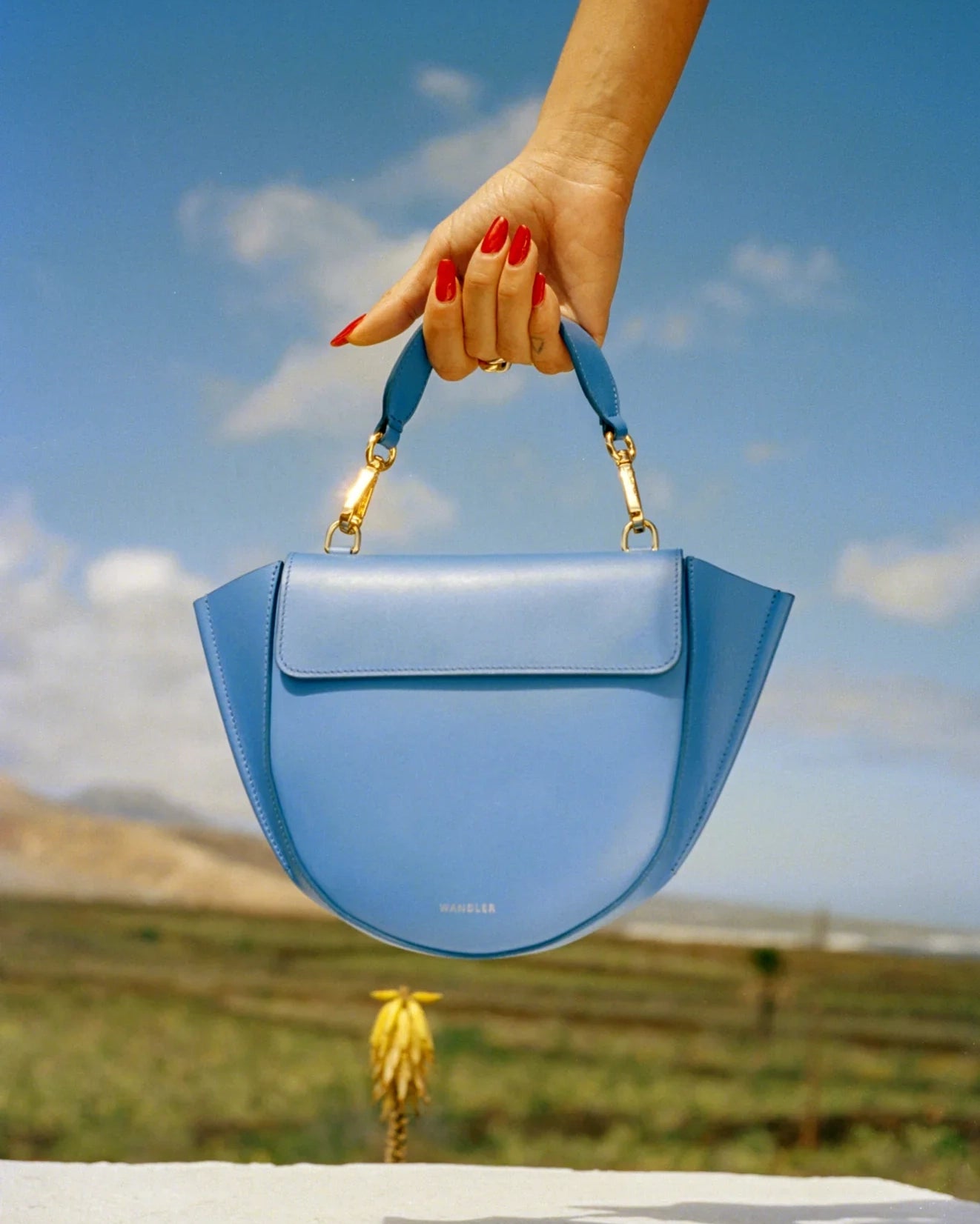 Wandler Tassen Accessoires Pauw