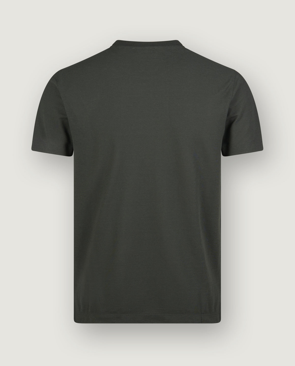 Ice Cotton T-Shirt - Groen