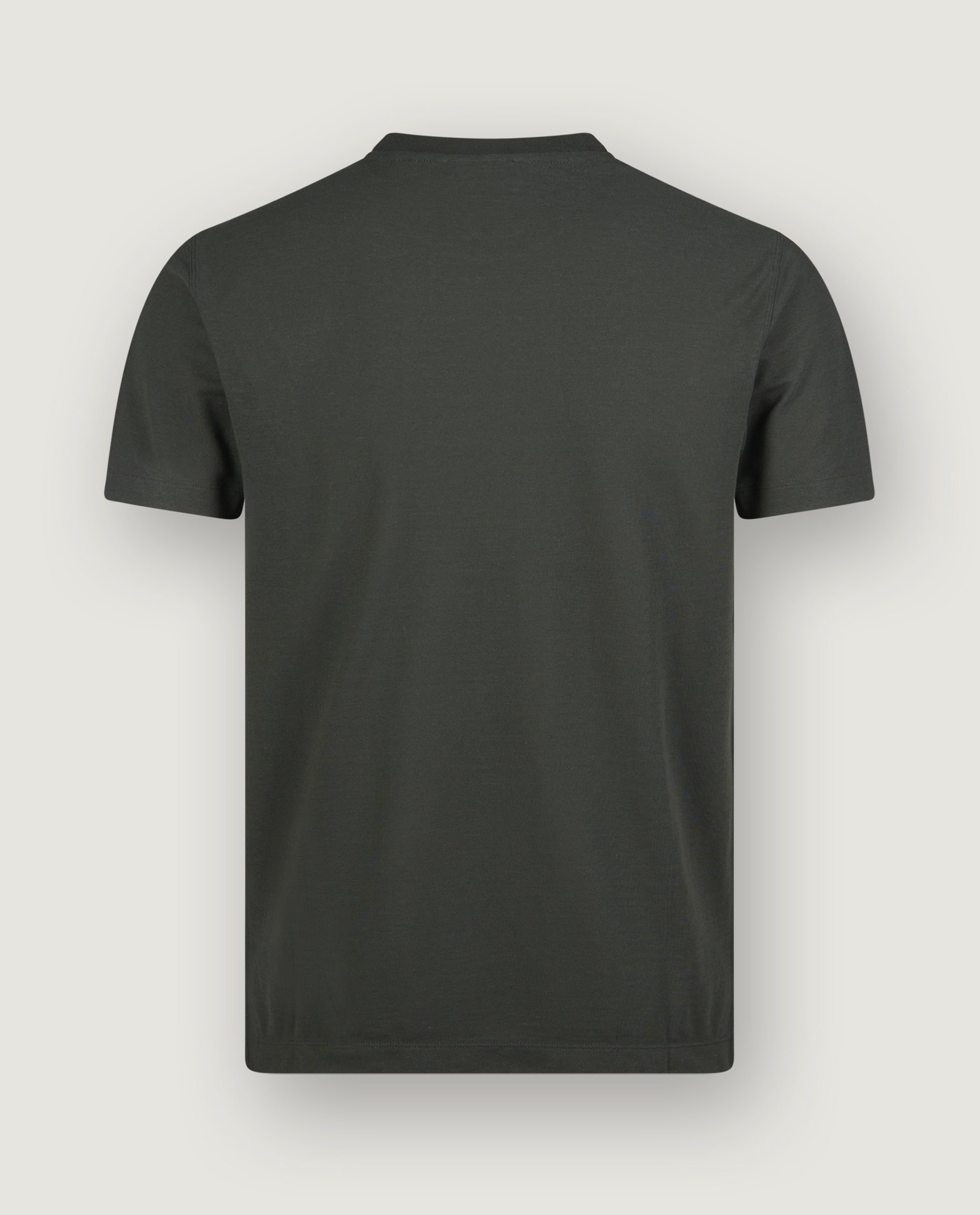 Ice Cotton T-Shirt - Groen