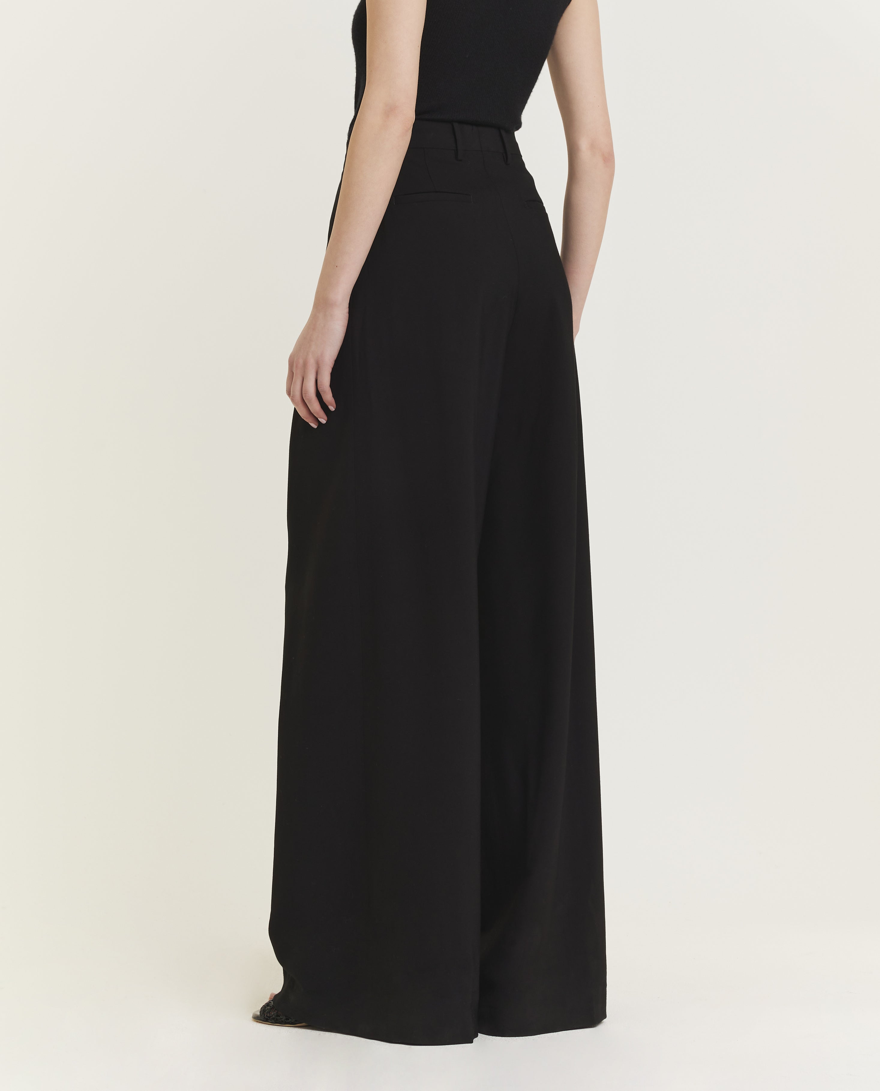 Wide Pleated Trousers