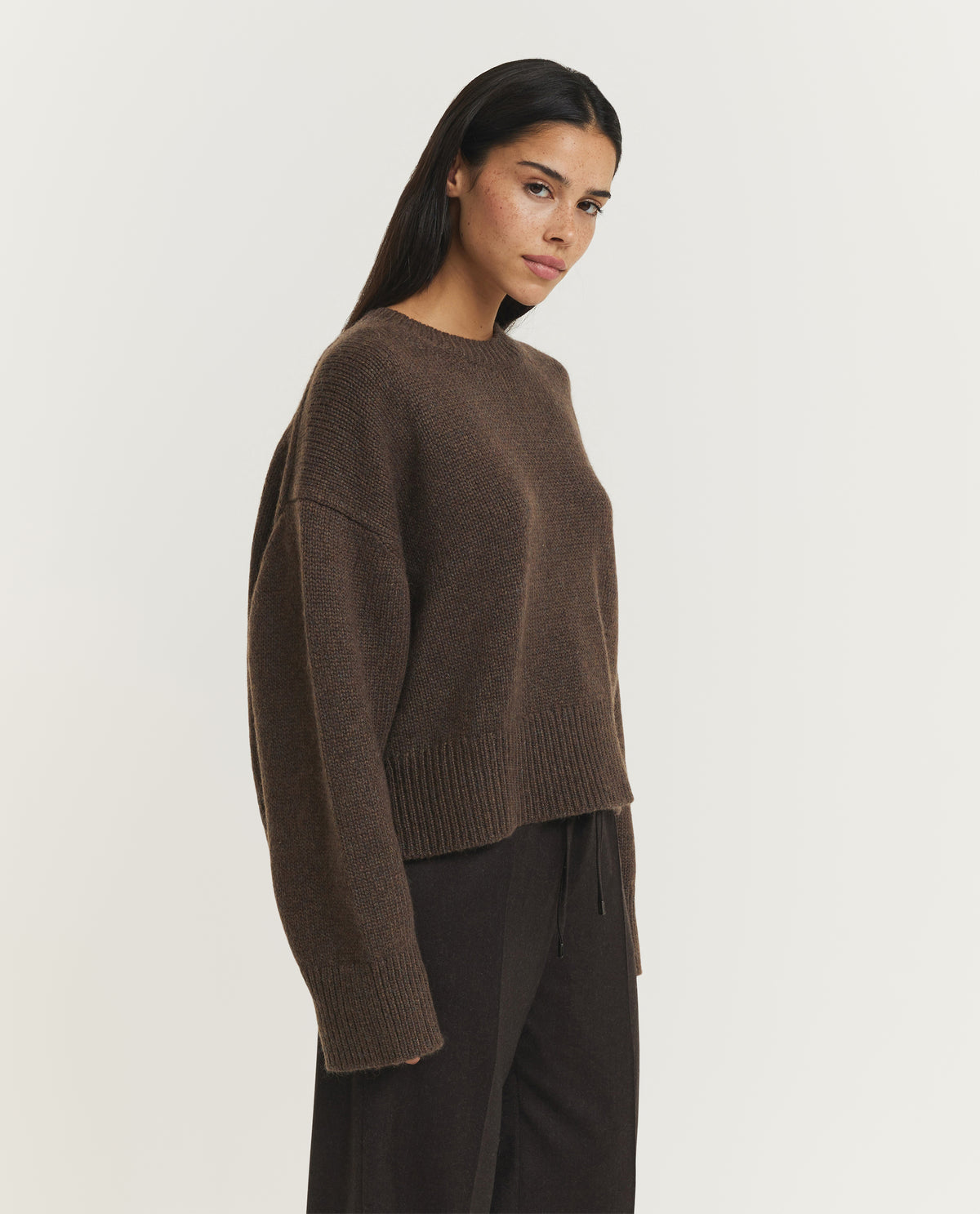 Cashmere Anisa Sweater - Bruin