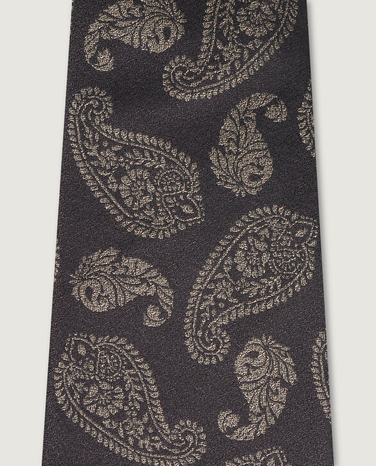 Silk Paisley Tie