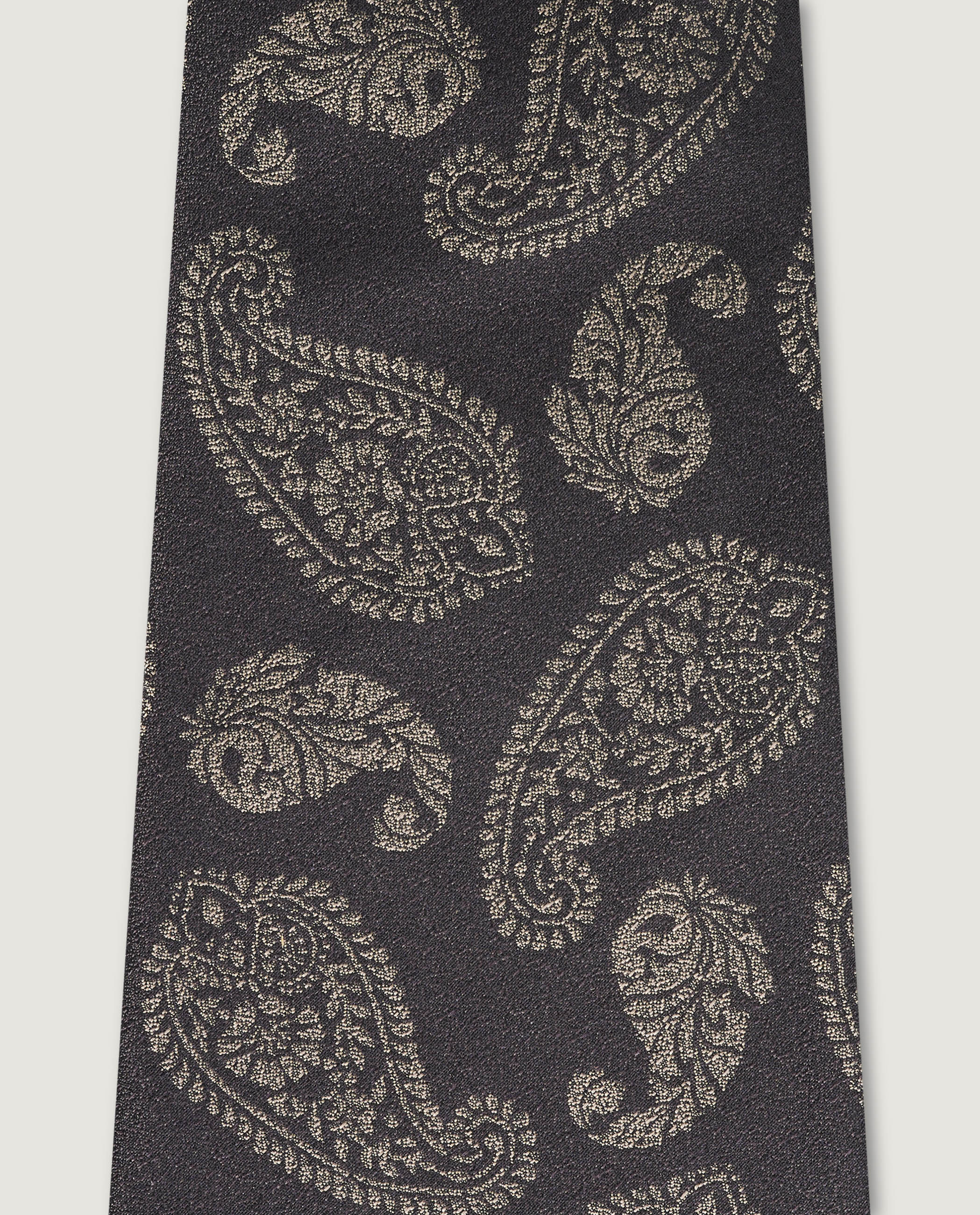 Silk Paisley Tie