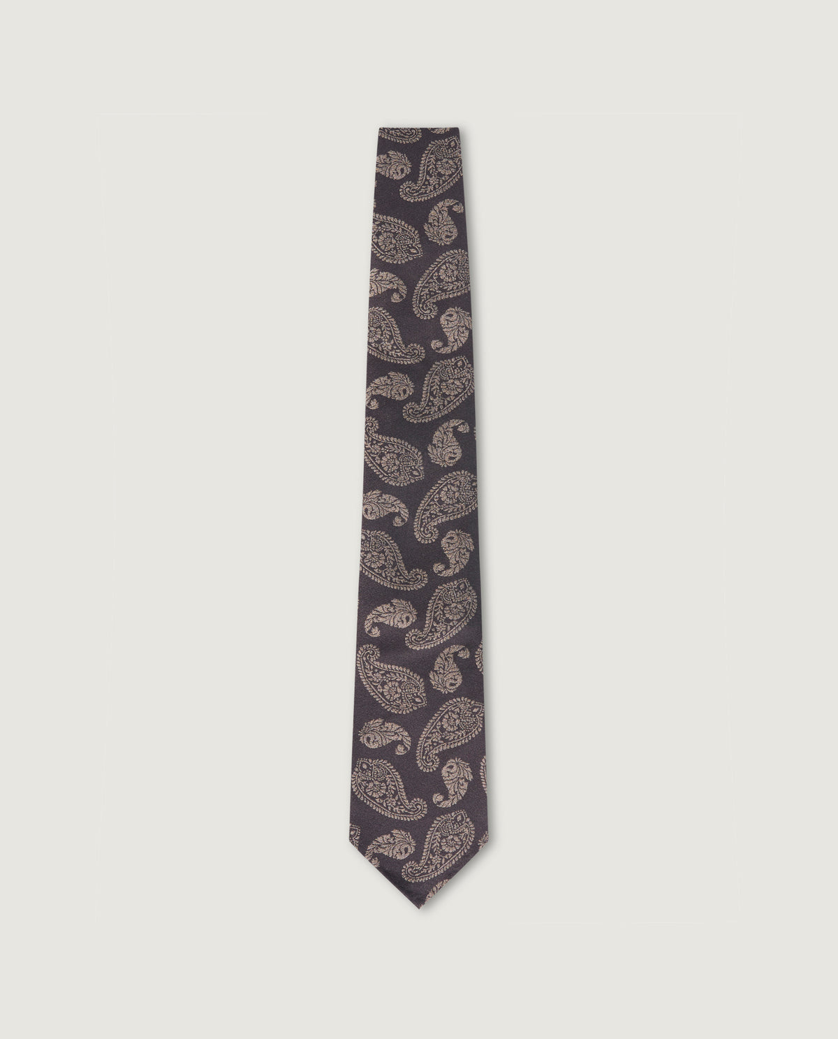Silk Paisley Tie