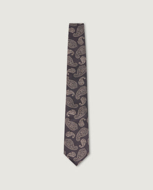 Silk Paisley Tie