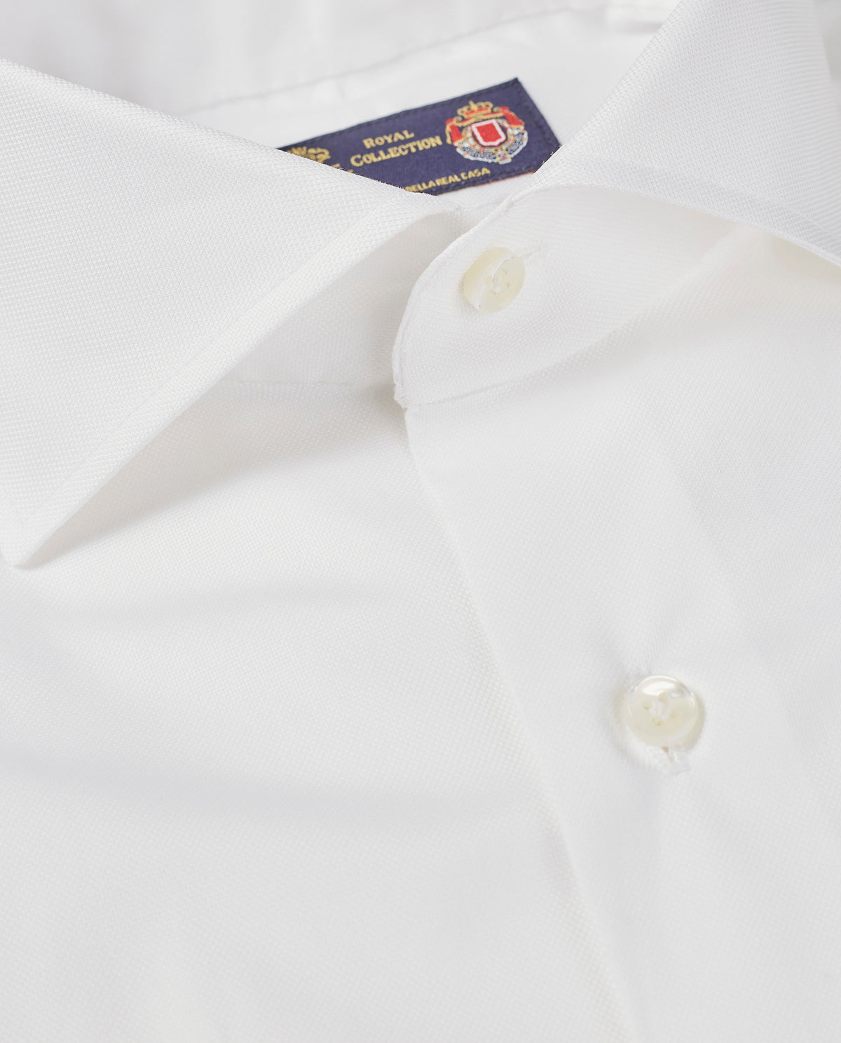 Oxford Cotton shirt